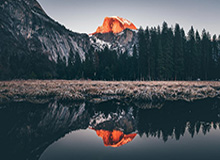 【足协杯】王彤佩莱进球 鲁能2比0苏宁夺第6冠